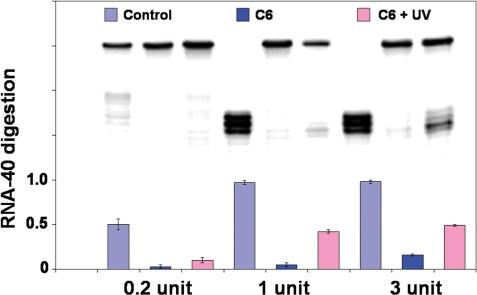 https://cdn.ncbi.nlm.nih.gov/pmc/blobs/801b/2241881/d2d95f058f3d/gkm1029f5.jpg