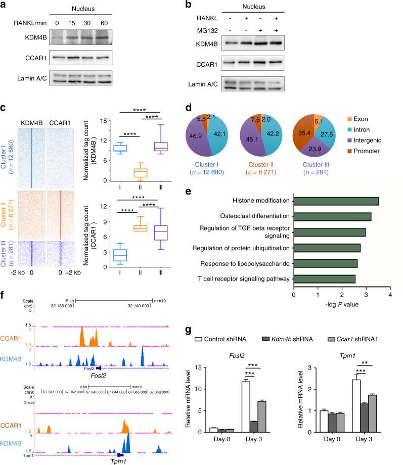 https://cdn.ncbi.nlm.nih.gov/pmc/blobs/801b/8144413/04469ad0488a/41413_2021_145_Fig3_HTML.jpg