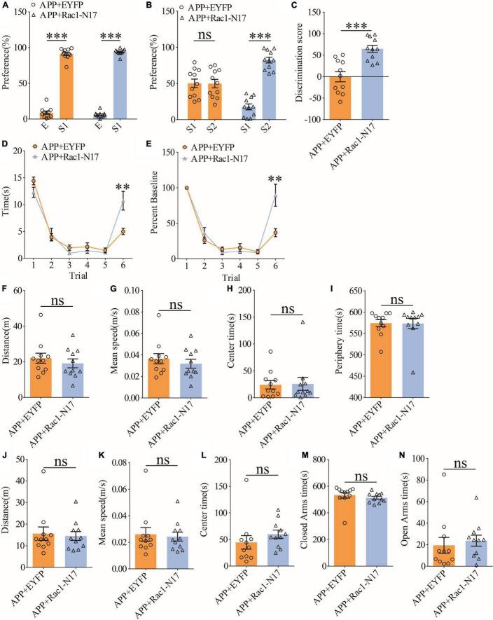 https://cdn.ncbi.nlm.nih.gov/pmc/blobs/801b/9354987/3666fad72445/fnagi-14-914491-g008.jpg