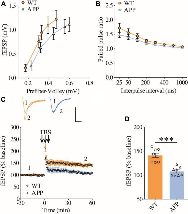 https://cdn.ncbi.nlm.nih.gov/pmc/blobs/801b/9354987/883d2df18ccd/fnagi-14-914491-g001.jpg