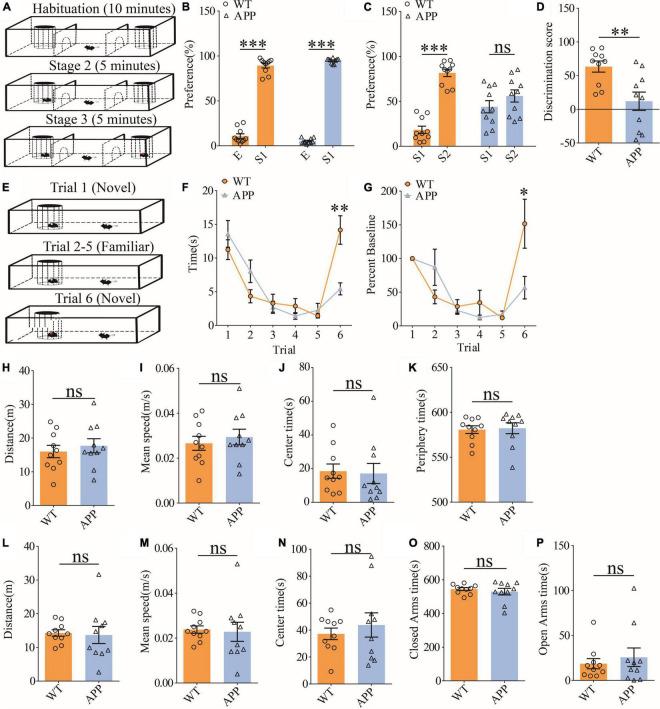 https://cdn.ncbi.nlm.nih.gov/pmc/blobs/801b/9354987/a0edb0a62ad9/fnagi-14-914491-g006.jpg