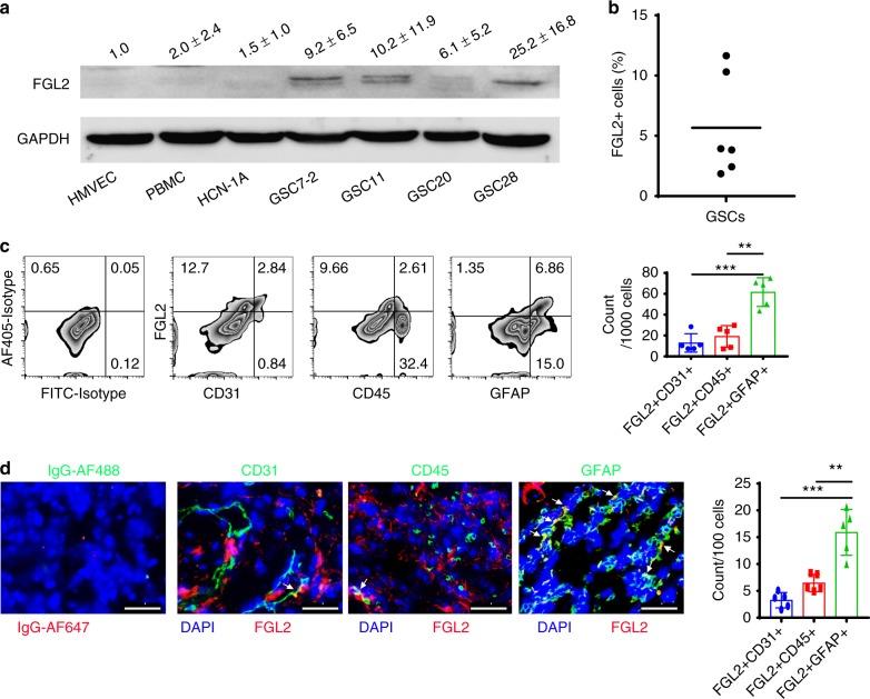https://cdn.ncbi.nlm.nih.gov/pmc/blobs/801c/6347641/2dae072a77fd/41467_2018_8271_Fig1_HTML.jpg