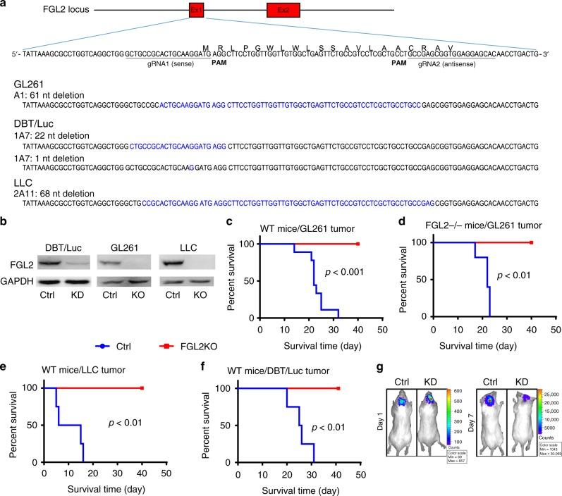 https://cdn.ncbi.nlm.nih.gov/pmc/blobs/801c/6347641/8c454e15ab53/41467_2018_8271_Fig2_HTML.jpg