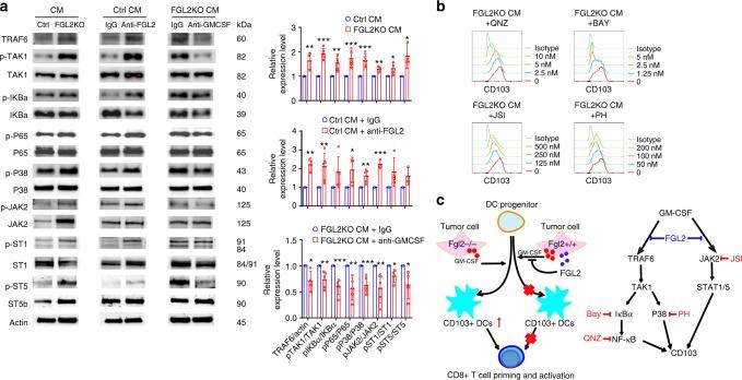 https://cdn.ncbi.nlm.nih.gov/pmc/blobs/801c/6347641/aa9b98c3ac10/41467_2018_8271_Fig6_HTML.jpg