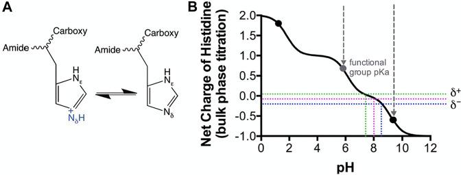 https://cdn.ncbi.nlm.nih.gov/pmc/blobs/801d/10010621/496d2c589afa/fmolb-10-1059673-g005.jpg