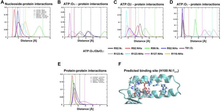 https://cdn.ncbi.nlm.nih.gov/pmc/blobs/801d/10010621/5b642397a042/fmolb-10-1059673-g003.jpg