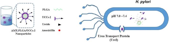 https://cdn.ncbi.nlm.nih.gov/pmc/blobs/801d/11316987/2c16df864e0f/12929_2024_1068_Fig11_HTML.jpg