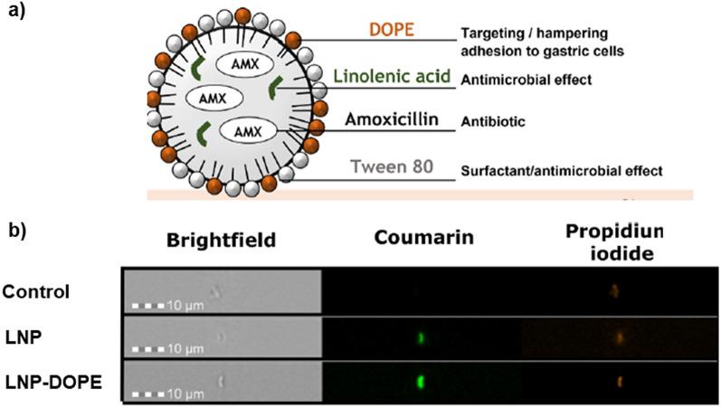 https://cdn.ncbi.nlm.nih.gov/pmc/blobs/801d/11316987/64c25c7f96c6/12929_2024_1068_Fig8_HTML.jpg