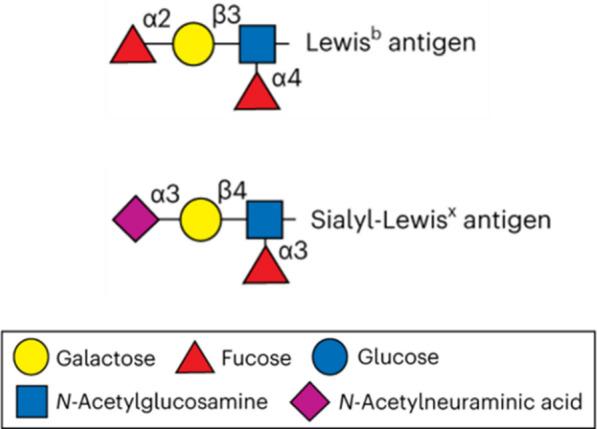https://cdn.ncbi.nlm.nih.gov/pmc/blobs/801d/11316987/655e17b1b572/12929_2024_1068_Fig2_HTML.jpg