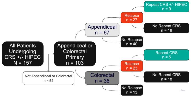 https://cdn.ncbi.nlm.nih.gov/pmc/blobs/801e/12191129/bdd535f8003e/cancers-17-02014-g001.jpg