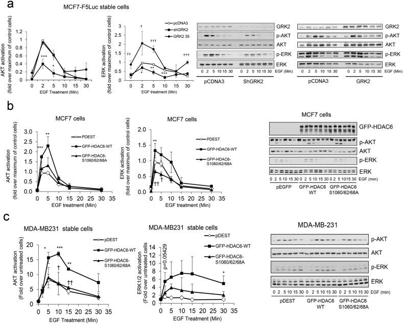 https://cdn.ncbi.nlm.nih.gov/pmc/blobs/801e/5264252/135adef9ac7f/gr2.jpg