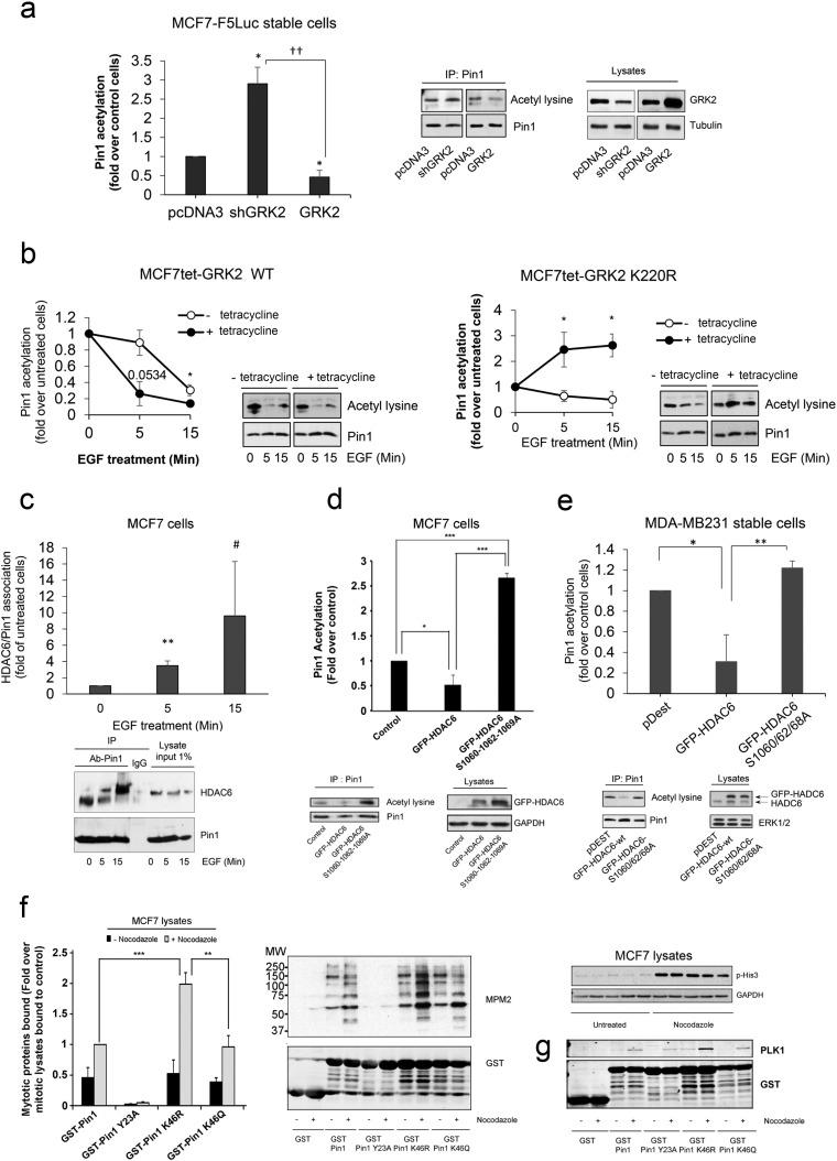 https://cdn.ncbi.nlm.nih.gov/pmc/blobs/801e/5264252/6d5850ed814c/gr3.jpg