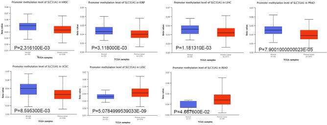 https://cdn.ncbi.nlm.nih.gov/pmc/blobs/8020/10584849/396fea3eeb3e/41598_2023_44681_Fig5_HTML.jpg