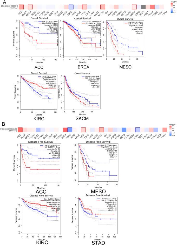 https://cdn.ncbi.nlm.nih.gov/pmc/blobs/8020/10584849/5eff6bbe1f59/41598_2023_44681_Fig3_HTML.jpg