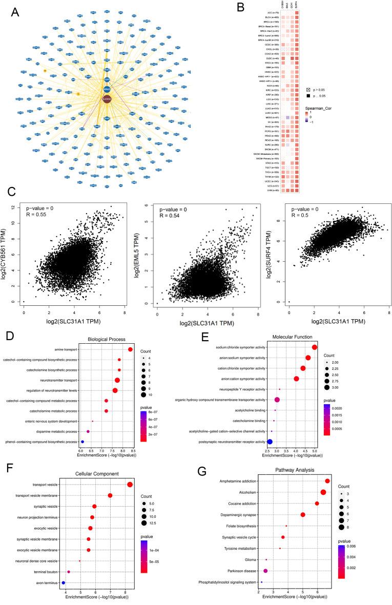 https://cdn.ncbi.nlm.nih.gov/pmc/blobs/8020/10584849/81cc67dfff7c/41598_2023_44681_Fig8_HTML.jpg