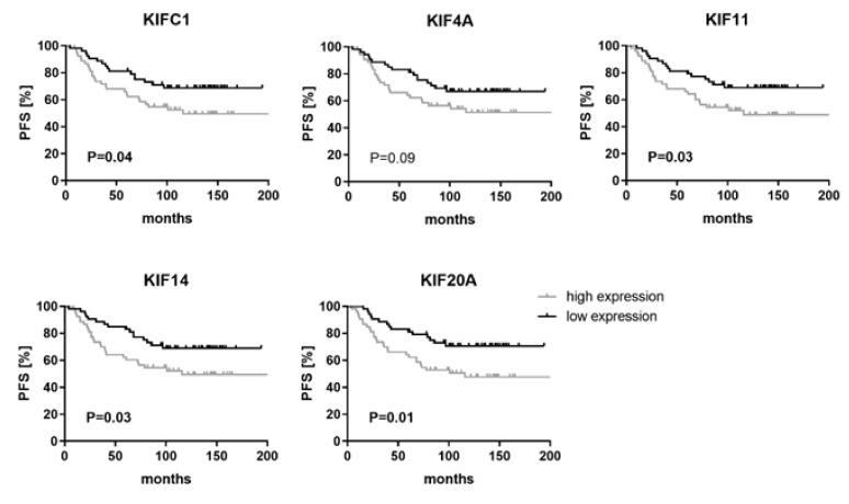 https://cdn.ncbi.nlm.nih.gov/pmc/blobs/8020/6521001/8c50899c8c9e/cancers-11-00545-g003.jpg