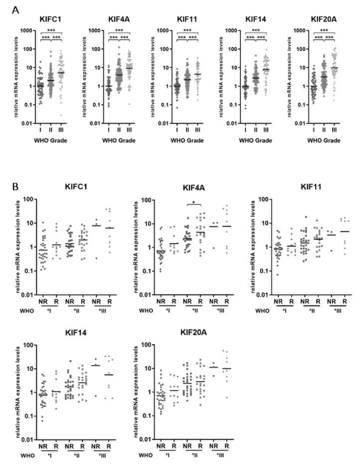 https://cdn.ncbi.nlm.nih.gov/pmc/blobs/8020/6521001/ec332b9e40b7/cancers-11-00545-g001.jpg
