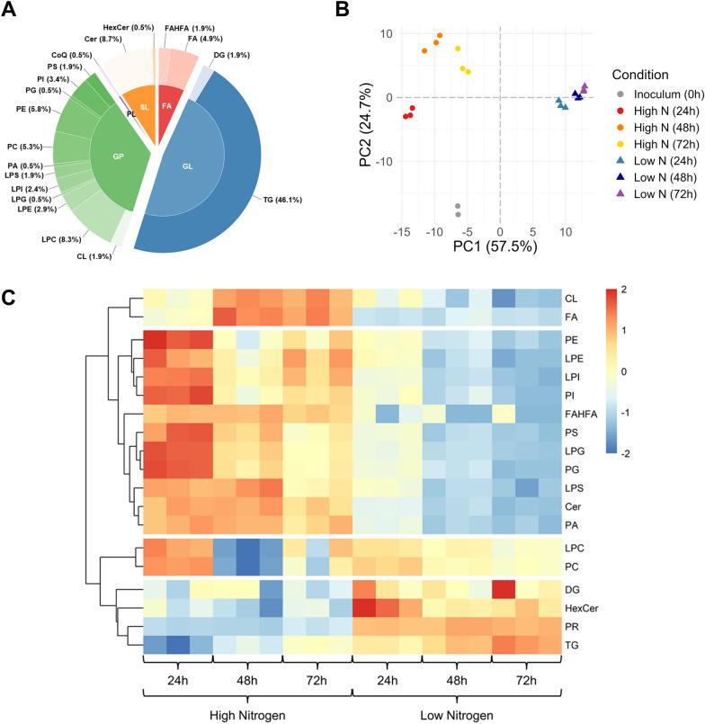 https://cdn.ncbi.nlm.nih.gov/pmc/blobs/8023/12278674/d3828e2da3ce/13068_2025_2657_Fig2_HTML.jpg
