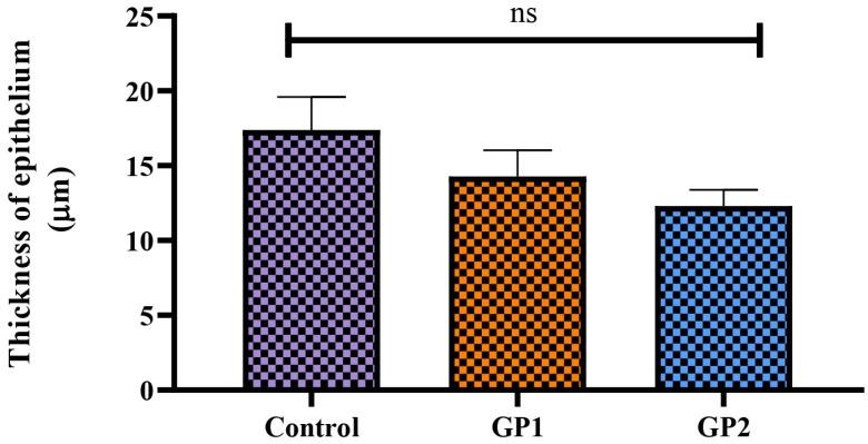 https://cdn.ncbi.nlm.nih.gov/pmc/blobs/8024/11359231/445ab3e1e890/polymers-16-02240-g007.jpg