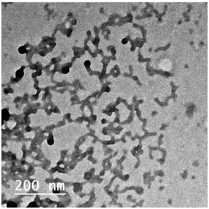 https://cdn.ncbi.nlm.nih.gov/pmc/blobs/8024/11359231/92e3c86695f0/polymers-16-02240-g003.jpg