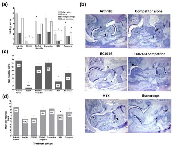 https://cdn.ncbi.nlm.nih.gov/pmc/blobs/8026/3132048/a919d457b0d1/ar3304-5.jpg
