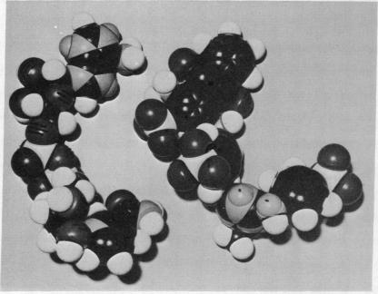 https://cdn.ncbi.nlm.nih.gov/pmc/blobs/8027/432376/0717d1384bea/pnas00045-0265-a.jpg