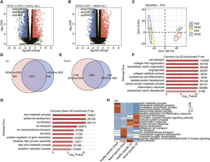 https://cdn.ncbi.nlm.nih.gov/pmc/blobs/8027/9908963/0b610639c22f/fgene-14-1118999-g001.jpg