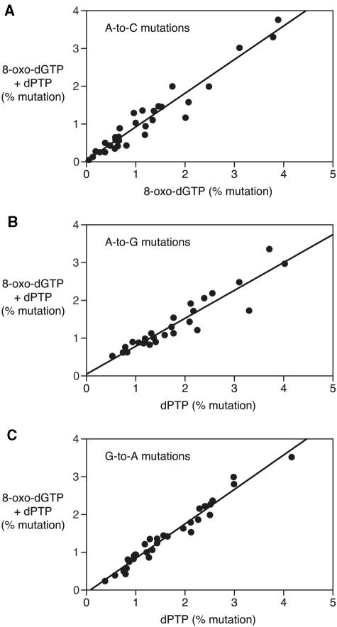 https://cdn.ncbi.nlm.nih.gov/pmc/blobs/8029/3001061/2e8843ecc4da/gkq685f4.jpg