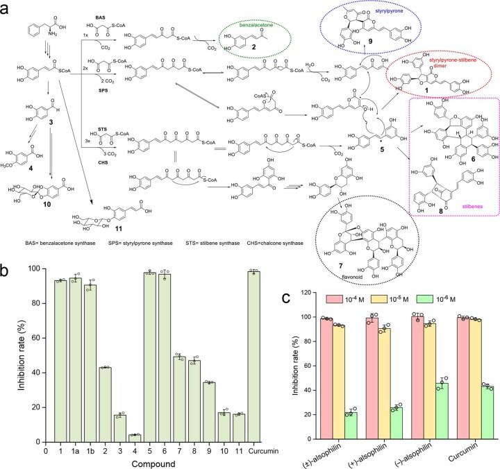 https://cdn.ncbi.nlm.nih.gov/pmc/blobs/802a/9122828/3eb849bda3c5/41477_2022_1146_Fig13_ESM.jpg