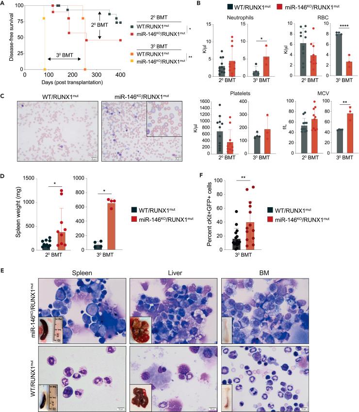 https://cdn.ncbi.nlm.nih.gov/pmc/blobs/802c/11112336/b5eef656d6d4/gr2.jpg