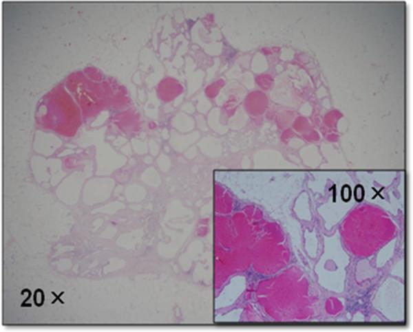 https://cdn.ncbi.nlm.nih.gov/pmc/blobs/802e/4200173/c49ad80f5ade/12957_2014_1781_Fig4_HTML.jpg