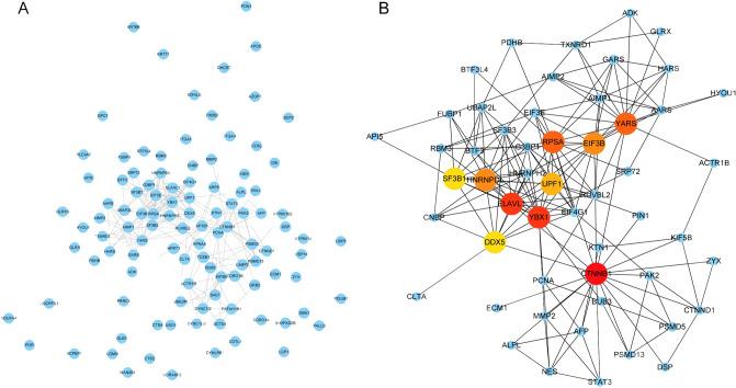 https://cdn.ncbi.nlm.nih.gov/pmc/blobs/802f/8131589/c1007c88a0b2/41598_2021_89829_Fig4_HTML.jpg