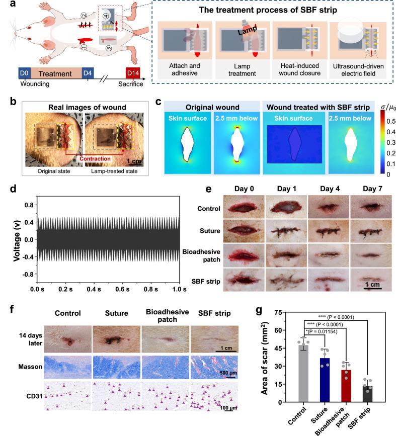 https://cdn.ncbi.nlm.nih.gov/pmc/blobs/8030/12325624/7e8c9dcd4856/41467_2025_62312_Fig5_HTML.jpg