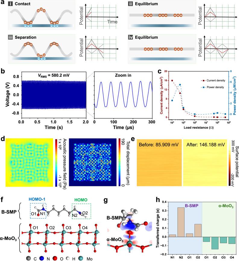 https://cdn.ncbi.nlm.nih.gov/pmc/blobs/8030/12325624/d64df65b7001/41467_2025_62312_Fig3_HTML.jpg