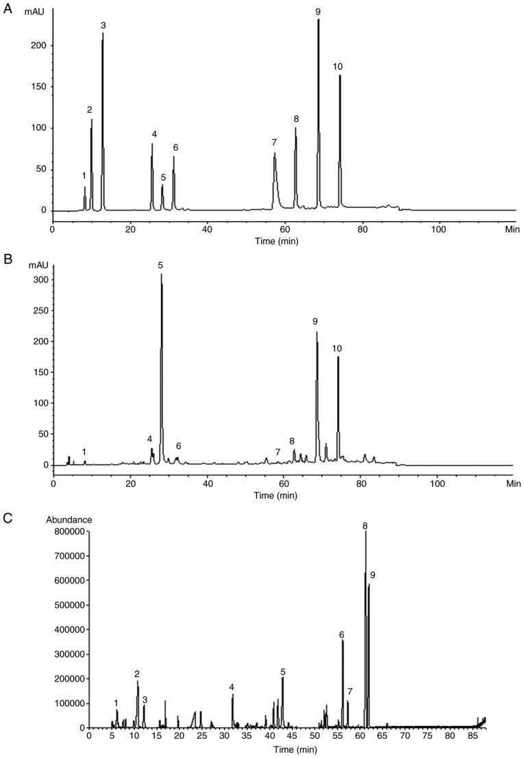 https://cdn.ncbi.nlm.nih.gov/pmc/blobs/8031/6192790/0de0638a81af/IJMM-42-05-2628-g09.jpg