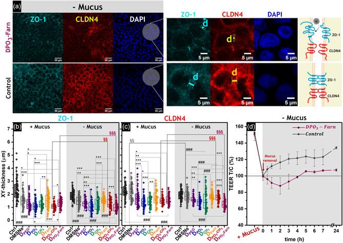 https://cdn.ncbi.nlm.nih.gov/pmc/blobs/8032/11934983/720a752c7206/SMSC-5-2400112-g008.jpg