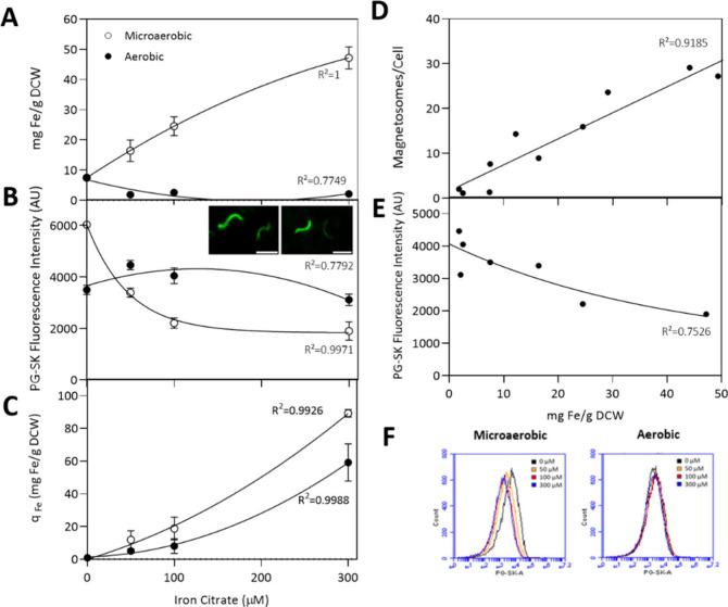 https://cdn.ncbi.nlm.nih.gov/pmc/blobs/8033/11565563/8a384d004943/am4c15975_0002.jpg