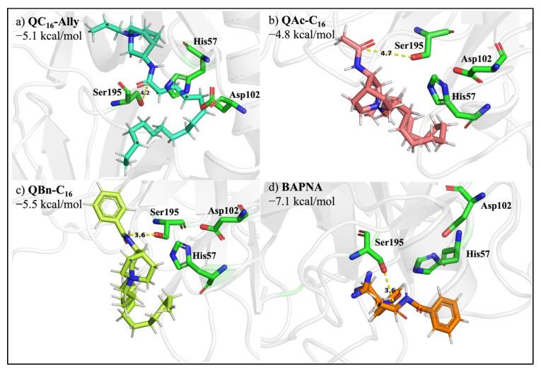 https://cdn.ncbi.nlm.nih.gov/pmc/blobs/8035/9966435/5b32382a22c6/pharmaceuticals-16-00187-g007.jpg