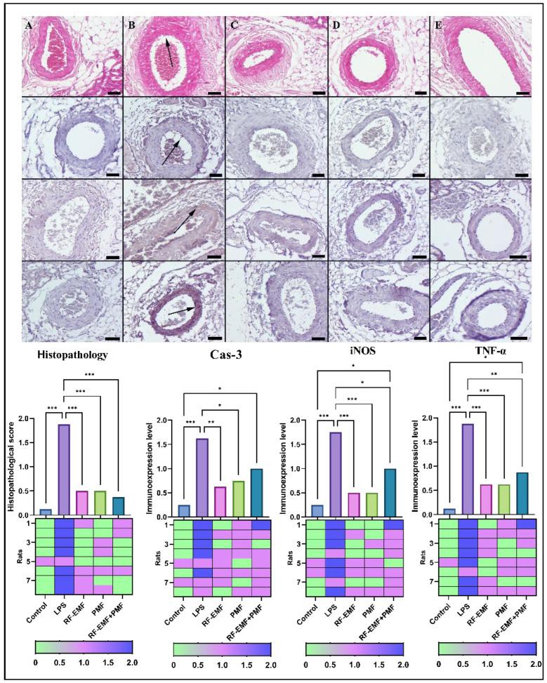 https://cdn.ncbi.nlm.nih.gov/pmc/blobs/8039/11857468/965832d80231/medicina-61-00238-g004.jpg