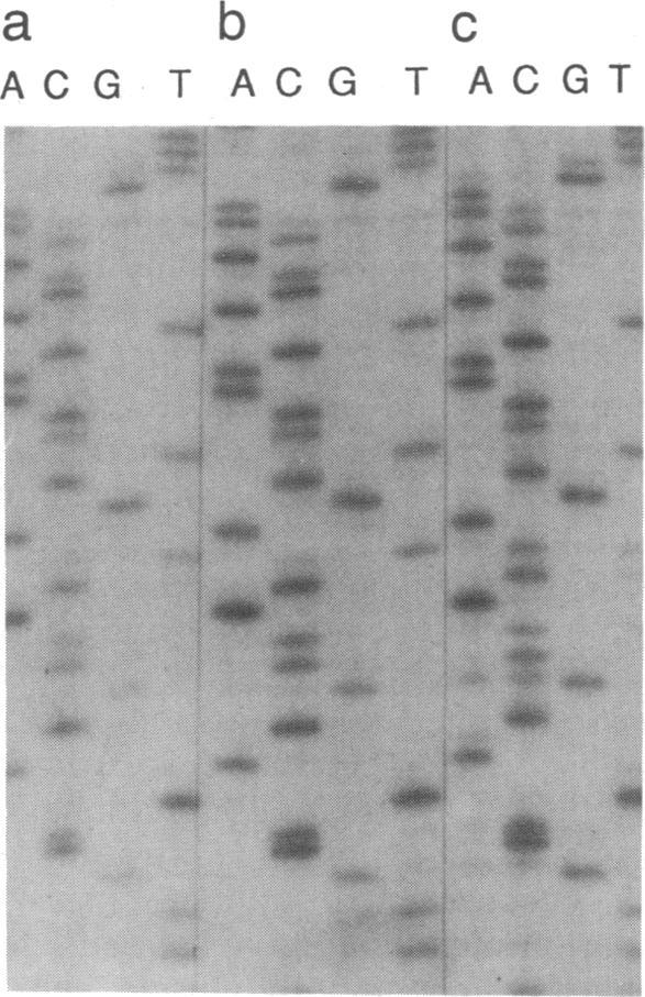 https://cdn.ncbi.nlm.nih.gov/pmc/blobs/8039/286921/7172200b7117/pnas00247-0290-a.jpg