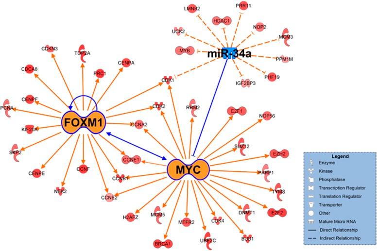 https://cdn.ncbi.nlm.nih.gov/pmc/blobs/8039/5992987/88848f134cbe/emm2017159f4.jpg