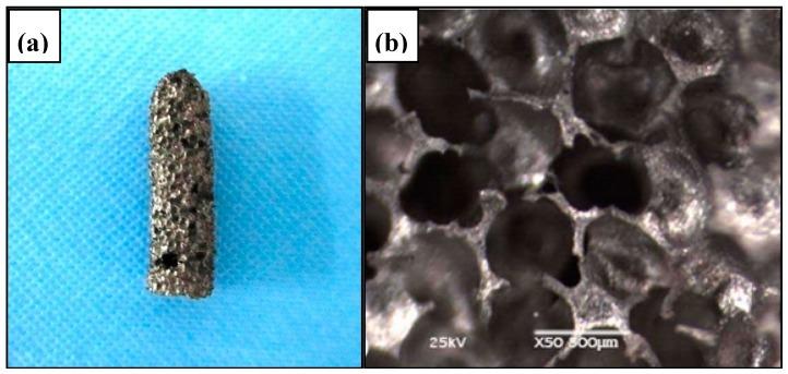 https://cdn.ncbi.nlm.nih.gov/pmc/blobs/8039/6164106/72f3d7e98817/materials-11-01716-g036.jpg
