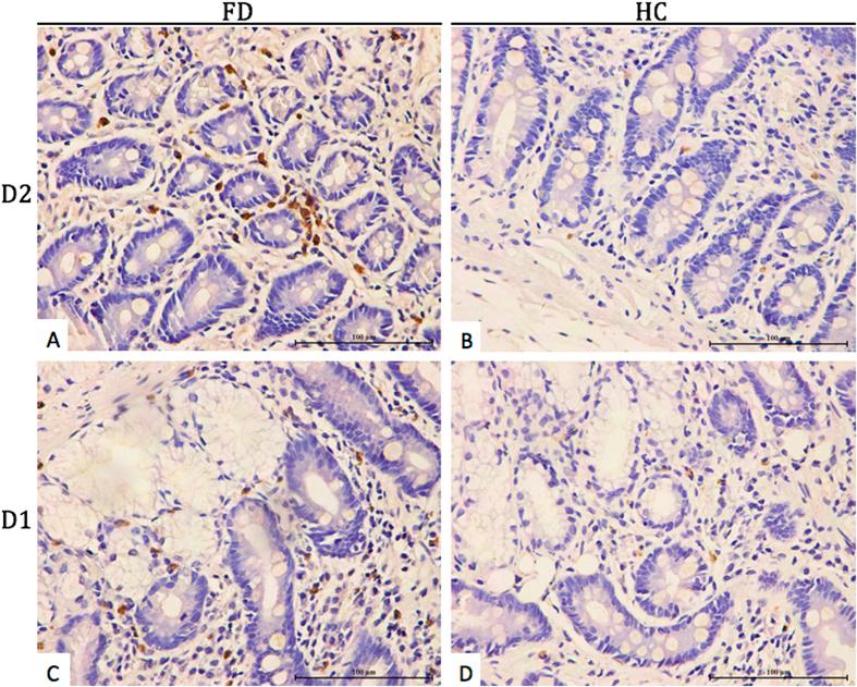https://cdn.ncbi.nlm.nih.gov/pmc/blobs/803a/5052603/0312fe63c23d/srep34305-f1.jpg