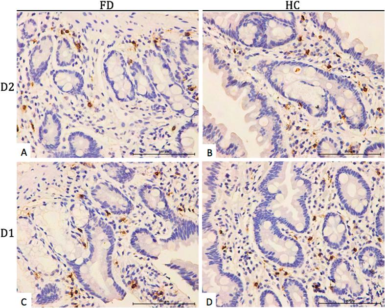 https://cdn.ncbi.nlm.nih.gov/pmc/blobs/803a/5052603/391a9a747904/srep34305-f2.jpg