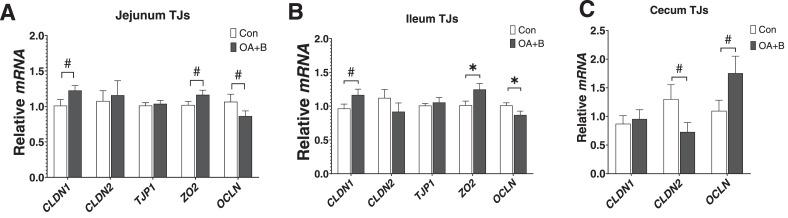 https://cdn.ncbi.nlm.nih.gov/pmc/blobs/803e/10014334/1da963cd6ef7/gr2.jpg