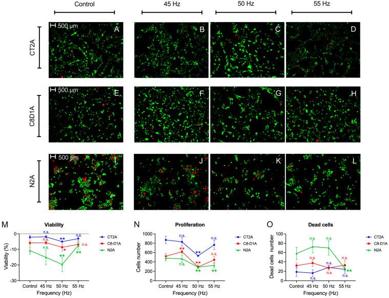https://cdn.ncbi.nlm.nih.gov/pmc/blobs/8041/11899782/fa705617e1bb/ijms-26-02032-g003.jpg