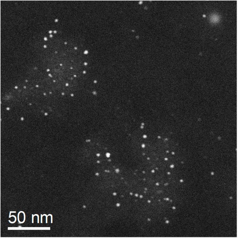 https://cdn.ncbi.nlm.nih.gov/pmc/blobs/8042/12199134/dd47561d55f2/d5ra02579f-f4.jpg
