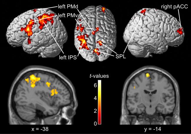 https://cdn.ncbi.nlm.nih.gov/pmc/blobs/8042/12319951/44e62aa3b676/imag_a_11_fig3.jpg