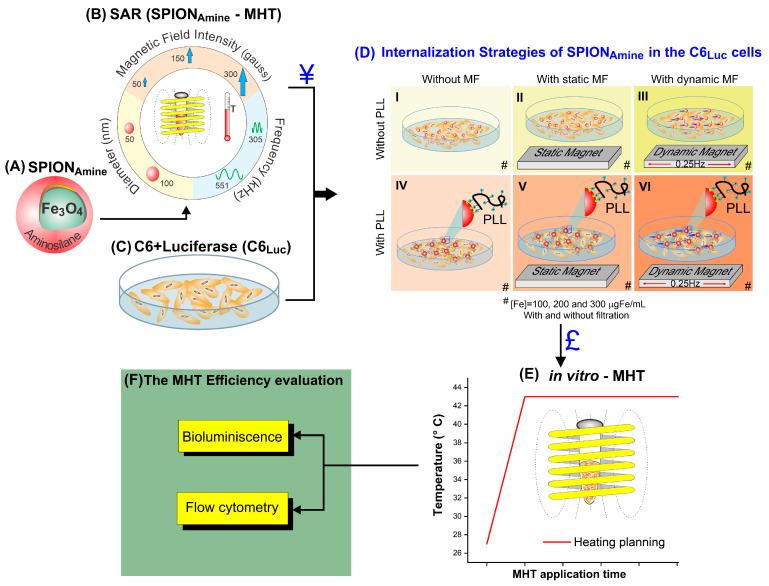 https://cdn.ncbi.nlm.nih.gov/pmc/blobs/8042/8399657/91e40a718101/pharmaceutics-13-01219-g001.jpg