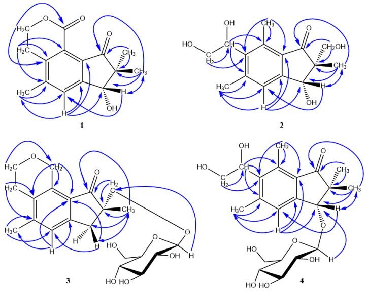 https://cdn.ncbi.nlm.nih.gov/pmc/blobs/8045/6696042/7c90054d53ce/molecules-24-02767-g002.jpg